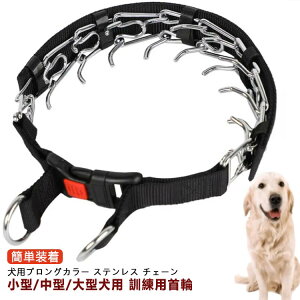   Pp pvOJ[ XeX `F[  p g[jO ȒP pXpCNs`J[ ߉\Ȍpg[jOJ[ pi UObY N