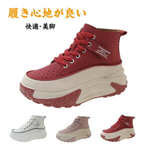 fB[X nCgbvX| nCJbgXj[J[ Ȃ