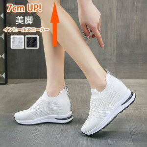  ₷  Cq[Xj[J[ Xj[J[ 7c fB[X