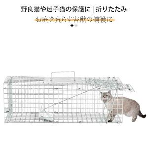 Qb  C^` 쐶 qL ߊl  p  Lp O Q[W nNrV ߊl@ j}Lb`[ ƒ؉ ߊl ی ܂肽 ybg RpNg ȒPݒu 