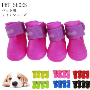 4 C p ybgp hV[Y یV[Y