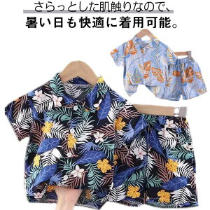 t n xr[ nCA q Vc Vc ǂ