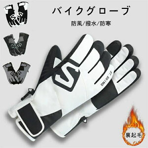 Y N h  g h΍ oCNO[u ~p