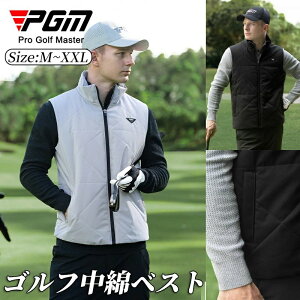 ~ ȃxXg H ejX ~ StxXg Y StEFA