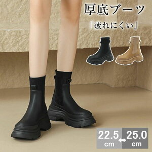  V[gu[c TChSAu[cfB[X ₷ 