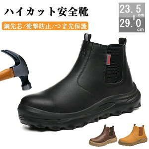 Y ƌC TC fB[X h SC nCJbg u[c