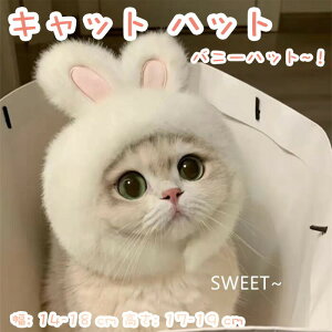 �R�X�v�� �N���X�}�X �a���� �t�F�X�e�B�o�� �n���E�B�� �w�b�h�E�F�A �g���� �\�t�g �L���b�v �q�L ���킢�� �w�b�h�o���h �R�X�`���[�� �y�b�g ���߉\ �X�q �L �� �o�j�[ �C�[�X�^�[ �y