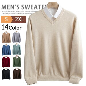 StEGA rWlX E[100 n Y jbgZ[^[