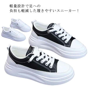 WjA ₷ y ₷ jO EH[LO ʋ [XAbv Vv JWA Cq[ ؍ C  V[Y fB[X _bhXj[J[ Xj[J[