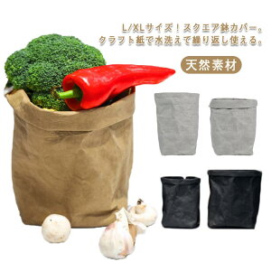 Jo[ Ntg   L/XLTCY ^  k A