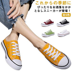 ƂȂ fB[X Xj[J[ C Xj[J[ LoX T