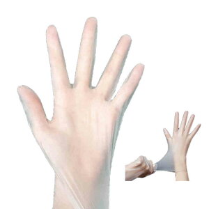  rj[ 300 ĝĎ vX`bNO[u