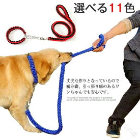 ハーフチョーク 首輪 リードセット 犬 パラコード 防止 訓練 しつけ トレーニング ワンタッチ 2点セット 首輪付きリードセット お出かけ 散歩 ペット 小型犬 中型犬 大型犬 S M L XL 全11色×