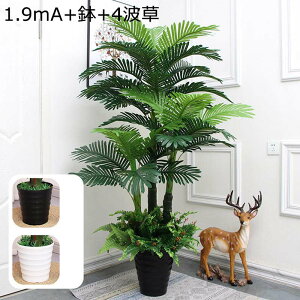 観葉植物 アレカヤシ 人工観葉植物」の人気商品一覧 | 安い商品を通販 