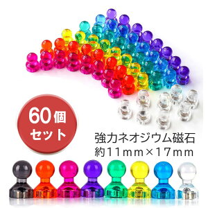 まとめお買い得★60個入り・強力ネオジウム磁石★【ご指定名義で領収証発行可能】マグネットピン マグネット 冷蔵庫 ホワイトボード 事務所に最適 強力磁石 ピン カラーマグネット おもち