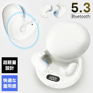 yyV1ʁz CXCz  ʘb\ xbluetooth Cz u[gD[X Cz Bluetooth5.3Ή hiPhoneAndroid Bluetooth5.3+EDR }[d cʕ\ Type-C}[d }CN