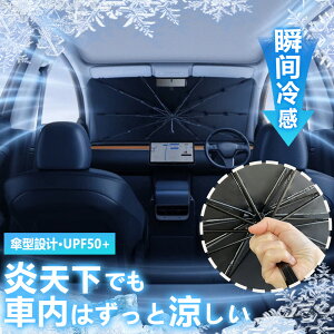 y[ 1250~`z TVF[h P tg i P^ 悯 TVF[h ԗp P Ԑm ԗpi  P^TVF[h 悯 J[TVF[ UVJbg Ռ