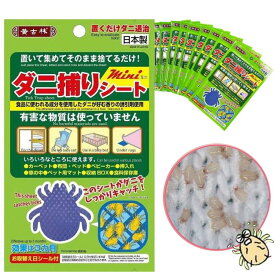 10枚セット ダニ捕りシート 布団 乾燥 ダニシート ダニ 対策 ダニ取りシート ダニ 布団 ダニ シート 日本製 クロネコゆうパケット ダニ取り ダニシート 日本製 大掃除 年末年始 年末掃除 Dr. ダニトル ダニ捕り ダニ駆除 ダニとり ダニ対策 だに対策 ダニ退治