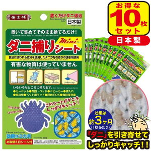 u10 _j΍v_jzCzC _j߂V[g _j _j _jߊlV[g _jߊl _jV[g h_jV[g _j悹}bg _j悹V[g _j}bg 쏜 _j߂ _j