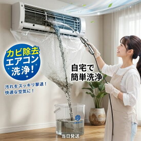 【激安 先着100名様限定】エアコン洗浄セット 洗浄力抜群 エアコン掃除 自分で エアコン ファン クリーニング 掃除 道具 高圧 スプレー 高圧洗浄機 エアコン洗浄剤 不要 大掃除 軽量 コンパクト 充電式 コードレス 持ち運び セルフ ほこり カビ 除去 自宅クリーニング 初心者