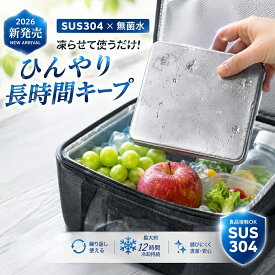 約12時間冷却持続！驚異の保冷力 ステンレス保冷剤 ひんやり 長時間キープ 長時間 保冷剤 ステンレス お弁当 長持ち 強力保冷 小型 軽量 クーラーボックス 繰り返し使える 冷却グッズ 冷蔵 冷凍対応 急速冷却 夏の冷却対策 アウトドア アイスパック お弁当 釣り キャンプ BBQ