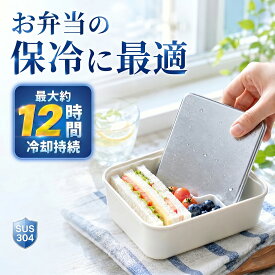 2026年新版 約12時間冷却持続 ステンレス保冷剤 安全・高品質 保冷剤 ステンレス お弁当 長時間冷却 超低温 氷点下 軽量 小さい ミニ コンパクト アイスパック 冷やす クーラーボックス 急速冷凍 薄型 製 プレート 強力 アウトドア キャンプ 釣り 防災グッズ 繰り返し使える
