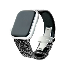 apple watch AbvEHb` xg XeBOC GCv { Y {v ւoh nhCh DobN SΉ Ultra/Ultra 2/10/9/8/7/6/SE/5/4/3/2/1Ή 42mm(Series 3/2/1)/44mm/45mm/46mm/49mm