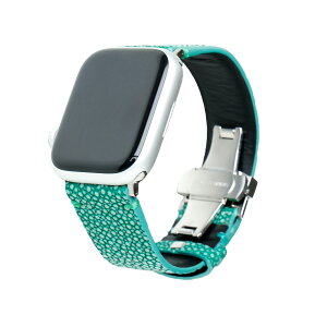 apple watch AbvEHb` xg XeBOC GCv { Y {v ւoh nhCh DobN SΉ Ultra/Ultra 2/10/9/8/7/6/SE/5/4/3/2/1Ή 42mm(Series 3/2/1)/44mm/45mm/46mm/49mm