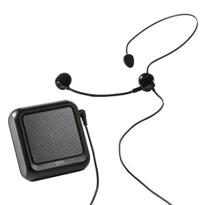 T_CNg g nYt[ Bluetooth/microSD/L yĐ\ ő12W ^ 400-SP076