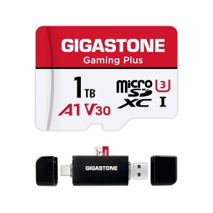 GIGASTONE �}�C�N��sd�J�[�h 1TB-2-1 Core Group
