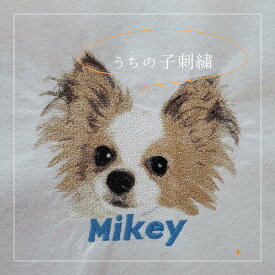 うちの子刺繍 こちらはA4サイズの布に「うちの子」を刺繍させていただきます オーダーメイド 世界に一つ オリジナル 刺繍 バッグ メモリアル 写真入り 写真 オリジナル オーダー メイド 名入れ うちの子 刺繍入り 犬 猫 イヌ雑貨 猫グッズ ペットメモリアル 誕生日 愛犬家