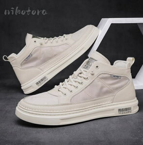 Cq[ V[NbgV[Y Y Xj[J[ EH[LO [XAbvV[Y nCJbgXj[J[ VvXj[J[ JWA  ʋ ʊw jOV[Y A