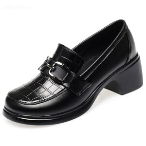 IbNXtH[hV[Y fB[X [t@[ }jbVV[Y C  pvX w l JWAtH[} 5Z`q[ q[ `L[q[ nCq[ X^