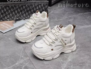 V[NbgV[Y 8cmwȂC gAbv JWA [JbgXj[J[ _bhV[Y Xj[J[ ҂ݏグ [XAbv X|[cV[Y EH[LO jO 