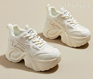 �V�[�N���b�g�V���[�Y ���[�J�b�g�X�j�[�J�[ ���f�B�[�X �J�W���A�� �_�b�h�V���[�Y �X�j�[�J�[ �X�|�[�c�V���[�Y �E�H�[�L���O �����j���O �^���C ����C �q�[��9cm ������� �J�W���A�� 