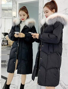 3F AE^[ R[g fB[X  _EWPbg OR[g _ER[g {[  t[ht t@[t ȓ h  g LeBOR[g AC J