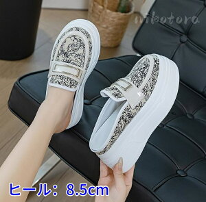 pvX fB[X T_ ~[pvXT_ Xbp EhgD ƂȂ T_  ؂ tbgT_ q[8.5cm ItBXT_ ou[V JWA