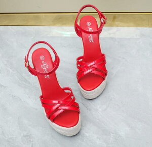 S4F T_ EGbW\[ q[ Xgbv nCq[ I[vgDT_ q[14cm rT_ ₷ ₷ JWA RtH[gT_ ĐV ʋ I