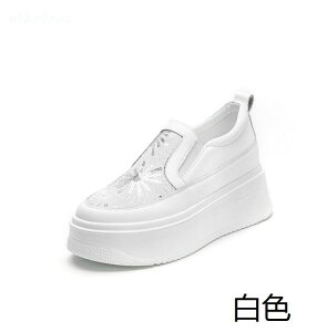 2F Xj[J[ fB[X V[NbgV[Y 7.8cmgAbv EH[LO jO WMO X|[c  Cq[Xj[J[ EGbW\[ [Jbg Xb| bV