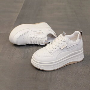 fB[X V[Y EH[LOV[Y jO Xj[J[ ^C C r lC Vv _炩 RtH[g ₷  y ~ ʋ ʊw WMO 