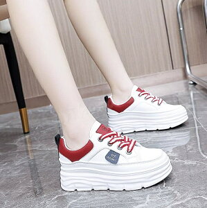 Xj[J[ fB[X V[Y jO Xj[J[ EH[LOV[Y r Vv _炩 ₷ ₷ Ȃ JWA  ~ ϖՐ q