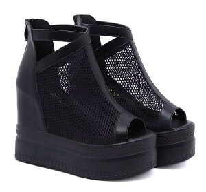 fB[X T_ V[gu[c I[vgD nCq[ Cq[ 12.5cm bVu[c EGbW\[ tbgT_ OfBG[^[ V[X[  ʋC obN