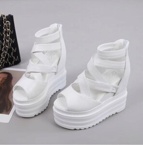 q[13cm EFbW\[T_ OfBG[^[  I[vgDT_ 芴 Vv T}[T_ V[gu[c tbgV[Y T{T_ nCq[ Cq[ 