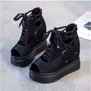 T_ OfBG[^[ fB[X T_ I[vgDT_ EFbW\[T_ T{T_ tbgT_ Cq[  ʋC ҂ݏグ [XAbv 