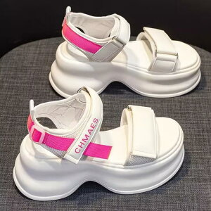 ĐV X|[cT_ ItBXT_ }WbNxg T_ 8Z`q[ JWAT_ T}[T_ ؂񂱌C vbgtH[ fB[X  wlC 