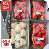 いちご 【小野崎農園】ミルキーベリー とちあいか やよいひめ スカイベリー(とちおとめ) 4種のわくわく …