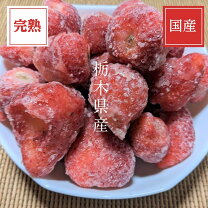 楽天市場】10kg（いちご｜フルーツ・果物）：食品の通販