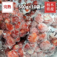 いちご 冷凍いちご 家庭用 5kg 500g×10袋 栃木県産 イチゴ 苺 いちご 完熟 国産 真空パック