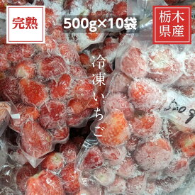いちご 冷凍いちご 家庭用 5kg 500g×10袋 栃木県産 イチゴ 苺 いちご 完熟 国産 業務用