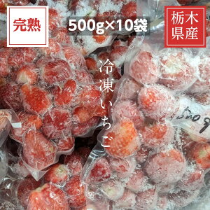  Ⓚ ƒp 5kg 500g×10 Ȗ،Y C`S   n Y ^pbN
